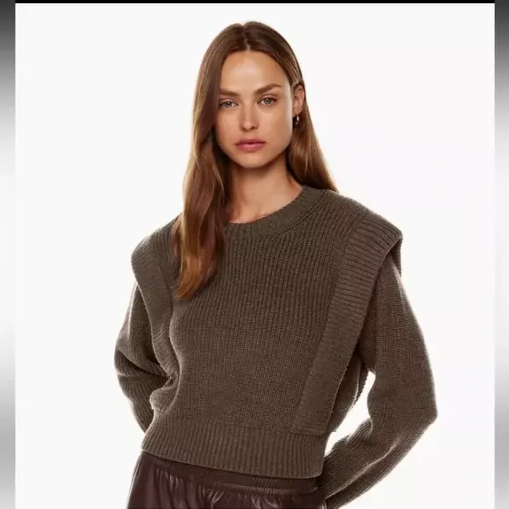 Babaton "Grazia" Brown Knit Merino Wool Sweater M Nwt ($168)